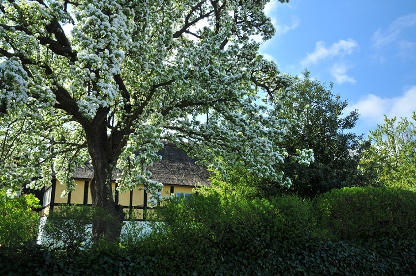 Melstedgård, Frühling