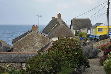 Cadgwith Cove