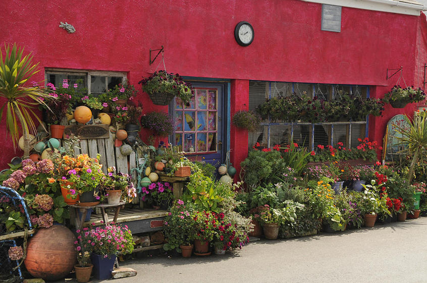 Blumenfreunde in Lizard, Cornwall