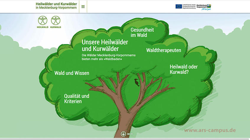 ars-campus, Webdesign für die Kur-und Heilwälder in Mecklenburg-Vorpommern